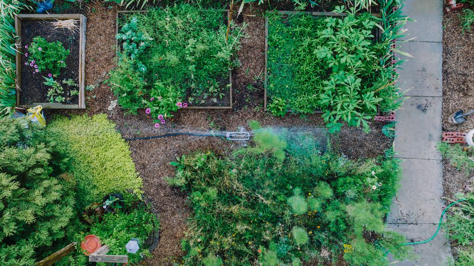 How Do I Compare Local Landscaper Quotes Before Hiring?