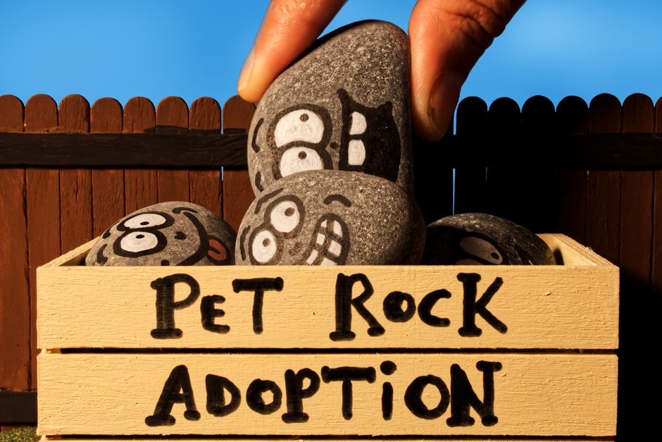 Is It a Bad Idea to Adopt Two Puppies from the Same Litter?